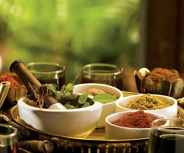 variety of ayurvedic herbs